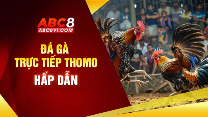 đá gà trực tiếp thomo